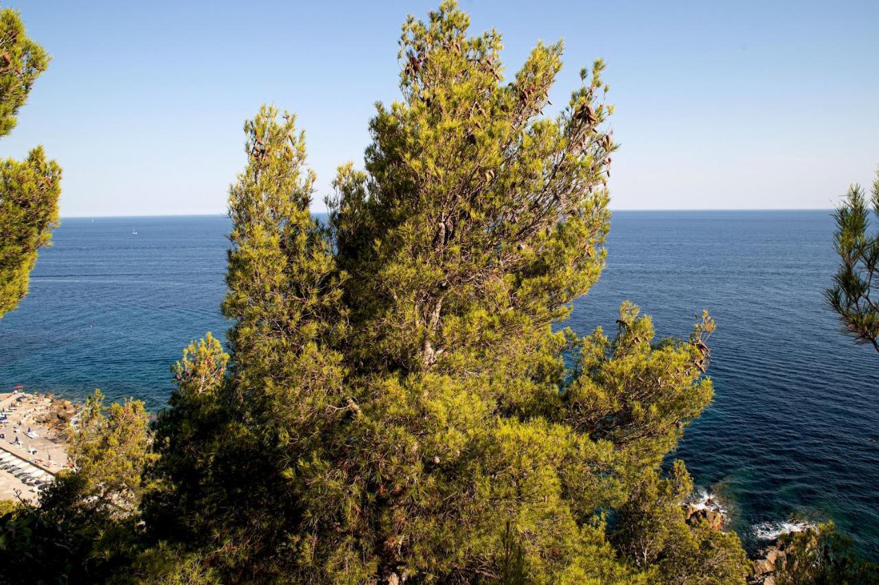 Marconi 442 Daire Sanremo Dış mekan fotoğraf